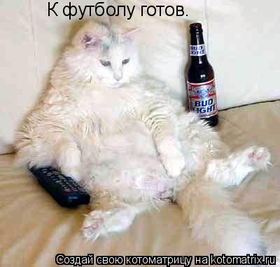 Котоматрица: К футболу готов.