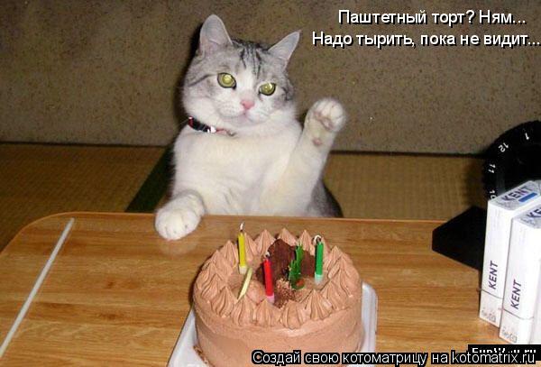 Котоматрица: Паштетный торт? Ням... Надо тырить, пока не видит...
