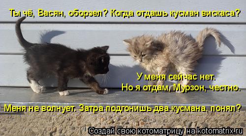 Котоматрица: Ты чё, Васян, оборзел? Когда отдашь кусман вискаса? У меня сейчас нет. Но я отдам, Мурзон, честно. Меня не волнует. Затра подгонишь два кусмана,