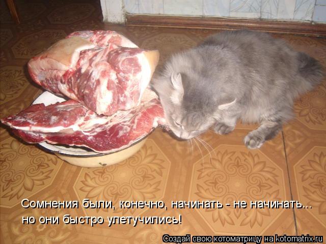 Котоматрица: Сомнения были, конечно, начинать - не начинать... но они быстро улетучились!