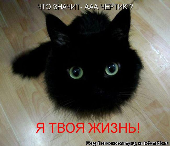 Котоматрица: ЧТО ЗНАЧИТ- ААА ЧЕРТИК!? Я ТВОЯ ЖИЗНЬ!