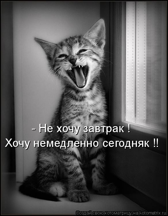 Котоматрица: - Не хочу завтрак !  Хочу немедленно сегодняк !!