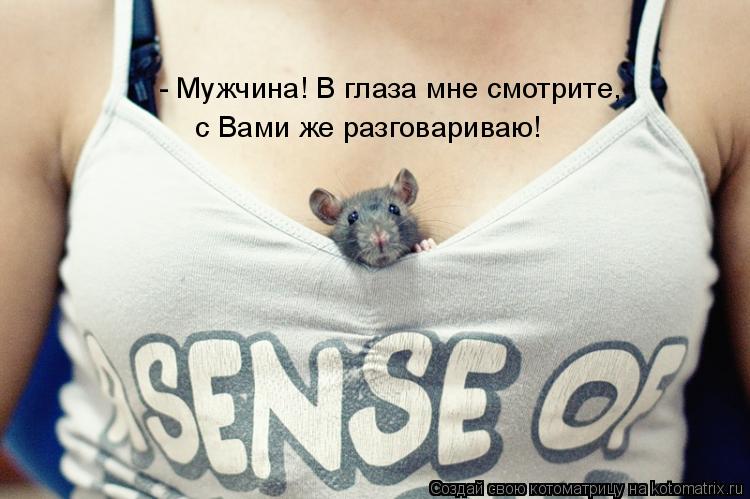 Котоматрица: - Мужчина! В глаза мне смотрите,  с Вами же разговариваю!