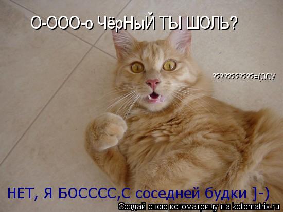 Котоматрица: О-ООО-о ЧёрНыЙ ТЫ ШОЛЬ? НЕТ, Я БОСССС,С соседней будки ]-) ???????????=(ООУ