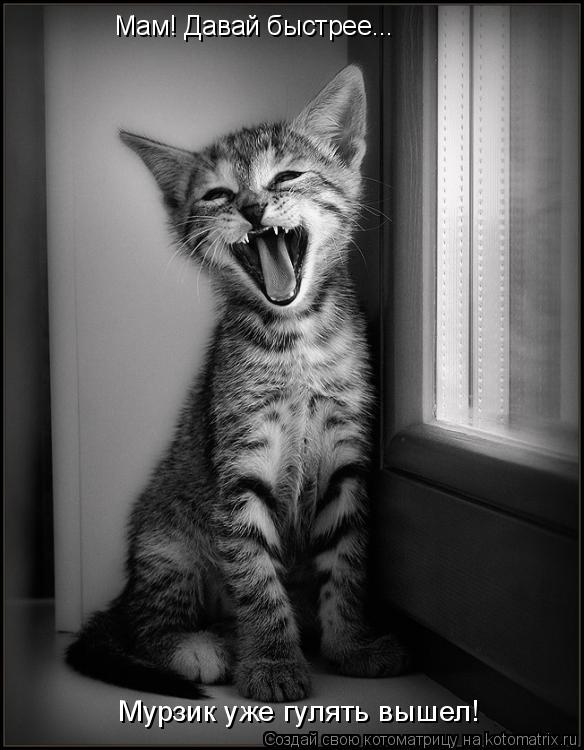 Котоматрица: Мам! Давай быстрее... Мурзик уже гулять вышел!