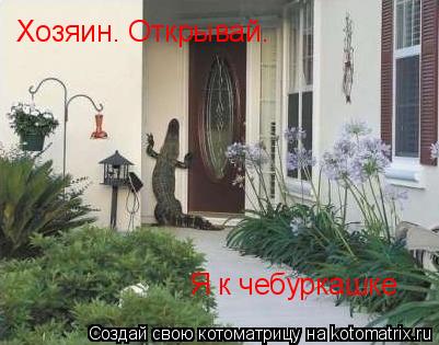 Котоматрица: Хозяин. Открывай. Я к чебуркашке