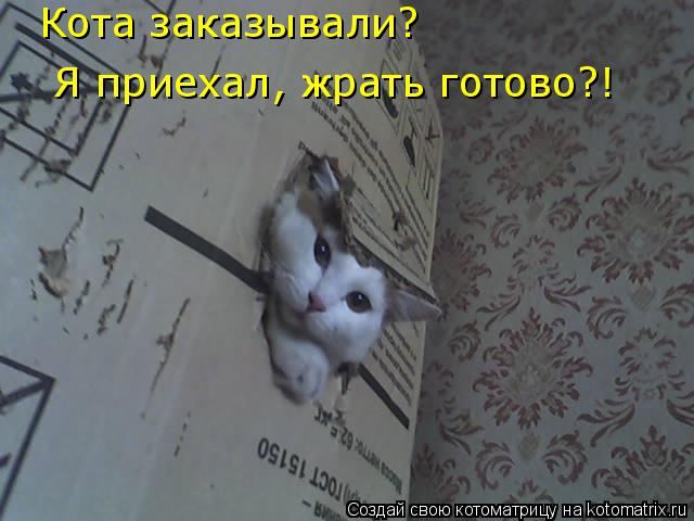 Котоматрица: Кота заказывали? Я приехал, жрать готово?! Кота заказывали?  Я приехал, жрать готово?!