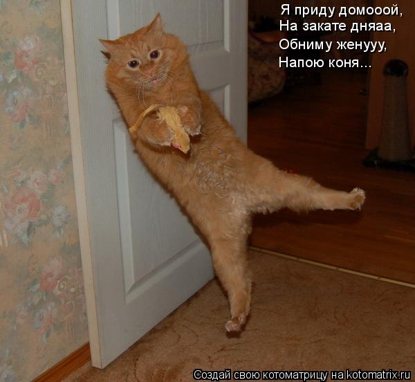 Котоматрица: Я приду домооой, На закате дняаа, Обниму женууу, Напою коня...