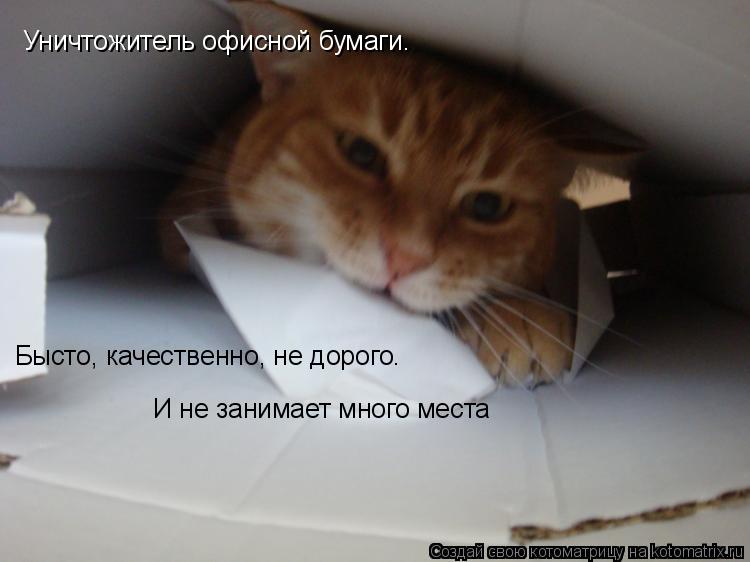 Котоматрица: Уничтожитель офисной бумаги. Бысто, качественно, не дорого. И не занимает много места