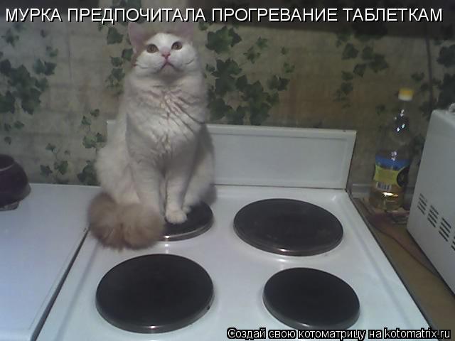 МУРКА ПРЕДПОЧИТАЛА ПРОГРЕВАНИЕ ТАБЛЕТКАМ... Котоматрица: МУРКА ПРЕДПОЧИТАЛА ПРОГРЕВАНИЕ ТАБЛЕТКАМ