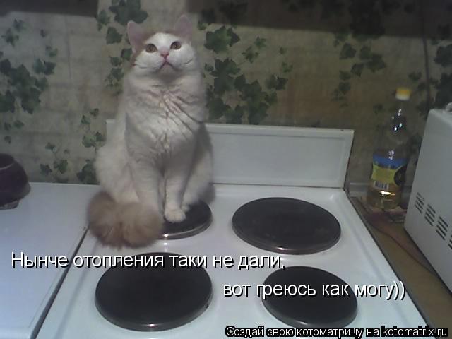 Нынче отопления таки не дали, вот греюсь как могу))... Котоматрица: Нынче отопления таки не дали, вот греюсь как могу))