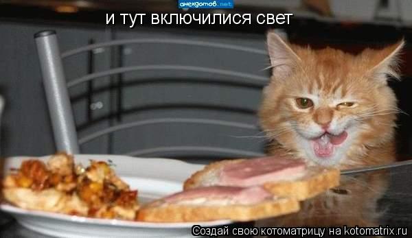 и тут включилися свет... Котоматрица: и тут включилися свет