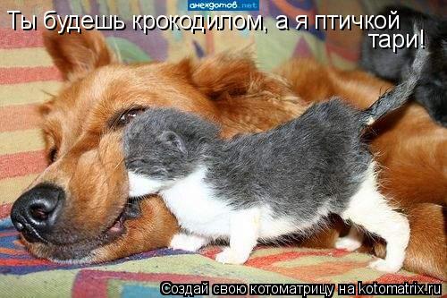 Ты будешь крокодилом, а я птичкой тари!... Котоматрица: Ты будешь крокодилом, а я птичкой тари!