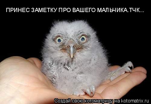 ПРИНЕС ЗАМЕТКУ ПРО ВАШЕГО МАЛЬЧИКА.ТЧК...... Котоматрица: ПРИНЕС ЗАМЕТКУ ПРО ВАШЕГО МАЛЬЧИКА.ТЧК...