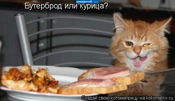 Котоматрица: Бутерброд или курица?