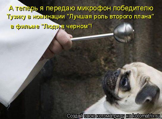 А теперь я передаю микрофон победителю Тузику в номинации "Лучшая роль второго плана" в фильме "Люд... Котоматрица: А теперь я передаю микрофон победителю Тузику в номинации "Лучшая роль второго плана" в фильме "Люди в черном"!