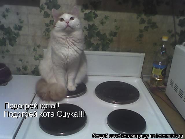 Подогрей кота!! Подогрей кота Сцука!!!... Котоматрица: Подогрей кота!! Подогрей кота Сцука!!!