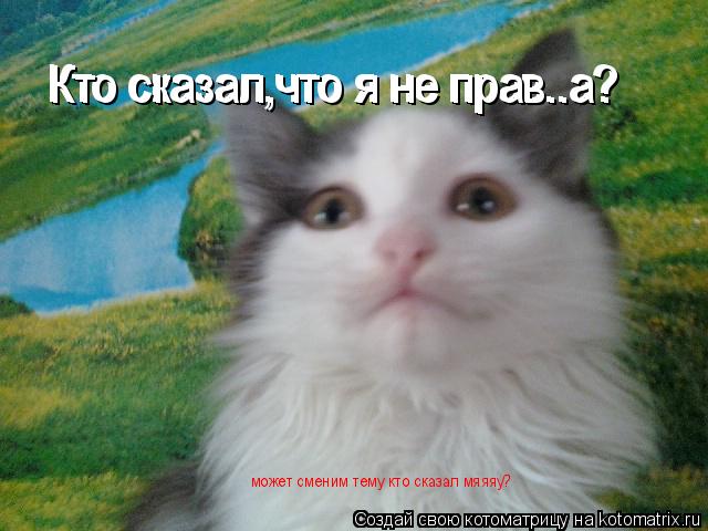 Кто сказал,что я не прав..а? Кто сказал,что я не прав..а? может сменим тему кто сказал мяяяу?... Котоматрица: Кто сказал,что я не прав..а? Кто сказал,что я не прав..а? может сменим тему кто сказал мяяяу?