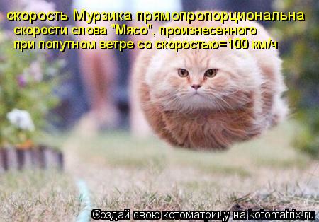 скорость Мурзика прямопропорциональна скорости слова "Мясо", произнесенного при попутном ветре со с... Котоматрица: скорость Мурзика прямопропорциональна скорости слова "Мясо", произнесенного при попутном ветре со скоростью=100 км/ч
