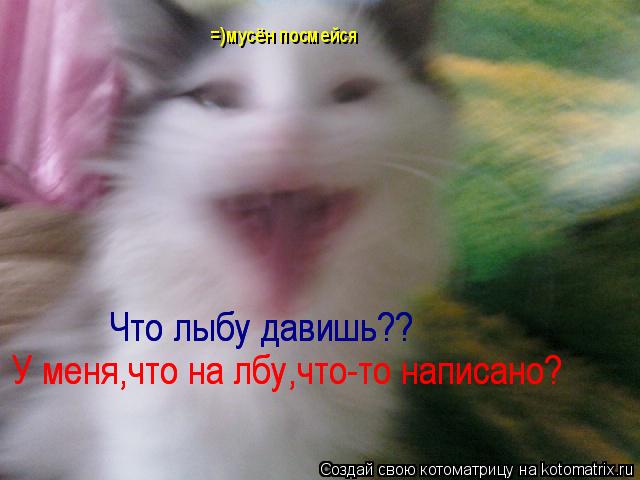 У меня,что на лбу,что-то написано? У меня,что на лбу,что-то написано? Что лыбу давишь?? Что лыбу дави... Котоматрица: У меня,что на лбу,что-то написано? У меня,что на лбу,что-то написано? Что лыбу давишь?? Что лыбу давишь?? =)мусён посмейся