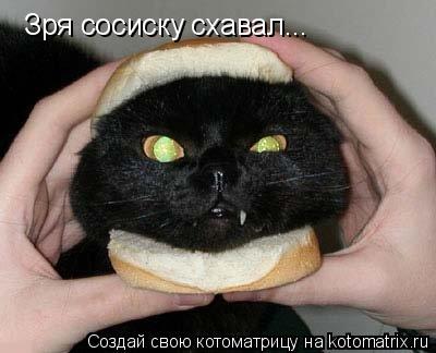 Зря сосиску схавал...... Котоматрица: Зря сосиску схавал...