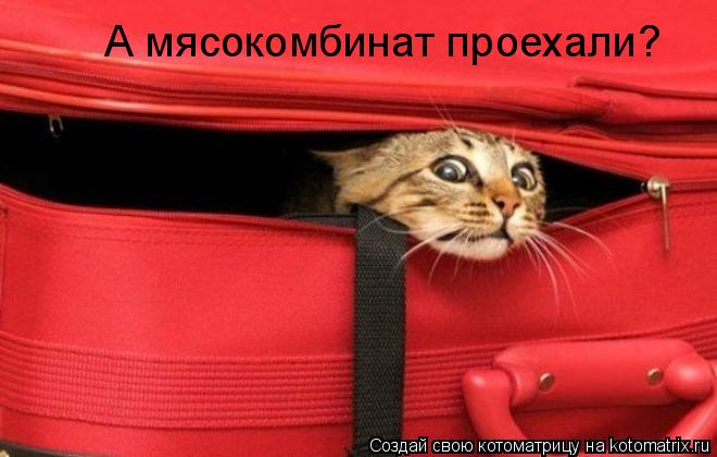 Котоматрица: А мясокомбинат проехали?