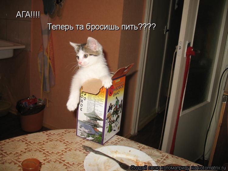 АГА!!!! Теперь та бросишь пить????... Котоматрица: АГА!!!! Теперь та бросишь пить????