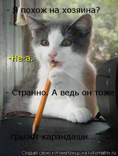 - Я похож на хозяина? -Не-а. - Странно. А ведь он тоже грызёт карандаши...... Котоматрица: - Я похож на хозяина? -Не-а. - Странно. А ведь он тоже грызёт карандаши...