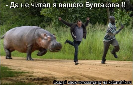 - Да не читал я вашего Булгакова !!... Котоматрица: - Да не читал я вашего Булгакова !!