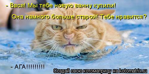 - Вася! Мы тебе новую ванну купили! Она намного больше старой! Тебе нравится? - АГА!!!!!!!!!... Котоматрица: - Вася! Мы тебе новую ванну купили! Она намного больше старой! Тебе нравится? - АГА!!!!!!!!!