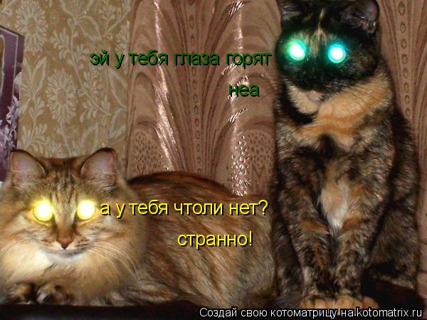 эй у тебя глаза горят а у тебя чтоли нет? неа странно!... Котоматрица: эй у тебя глаза горят а у тебя чтоли нет? неа странно!