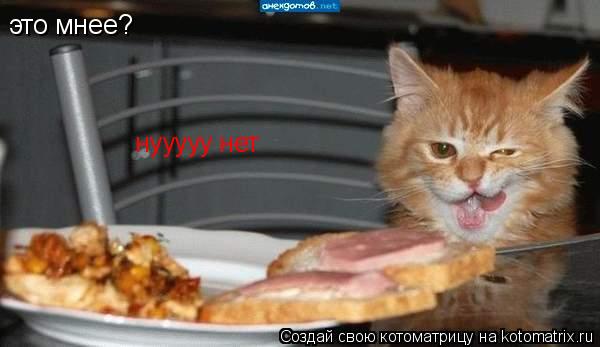 это мнее? нууууу нет... Котоматрица: это мнее? нууууу нет