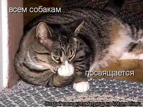 всем собакам посвящается... Котоматрица: всем собакам посвящается