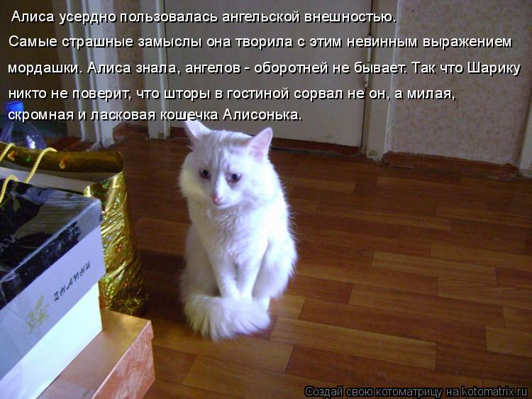 Алиса усердно пользовалась ангельской внешностью. Самые страшные замыслы она творила с этим невинным ... Котоматрица: Алиса усердно пользовалась ангельской внешностью. Самые страшные замыслы она творила с этим невинным выражением мордашки. Алиса знала, ан
