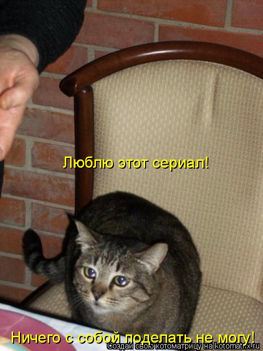 Люблю этот сериал! Ничего с собой поделать не могу!... Котоматрица: Люблю этот сериал! Ничего с собой поделать не могу!