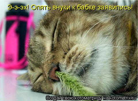 Э-э-эх! Опять внуки к бабке заявились!... Котоматрица: Э-э-эх! Опять внуки к бабке заявились!