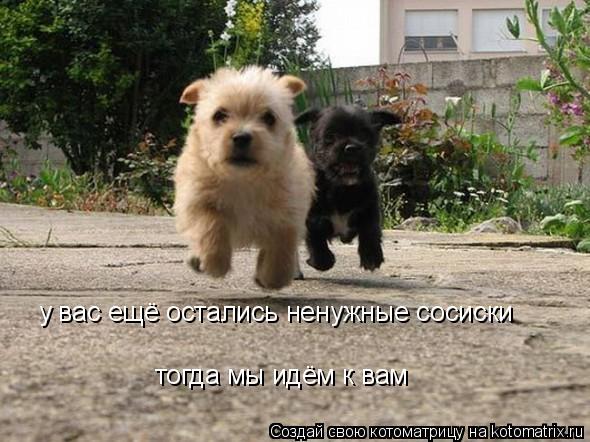 у вас ещё остались ненужные сосиски тогда мы идём к вам... Котоматрица: у вас ещё остались ненужные сосиски тогда мы идём к вам
