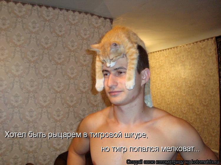 Хотел быть рыцарем в тигровой шкуре, но тигр попался мелковат...... Котоматрица: Хотел быть рыцарем в тигровой шкуре, но тигр попался мелковат...