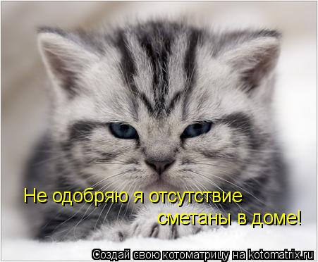 Котоматрица: Не одобряю я отсутствие сметаны в доме!