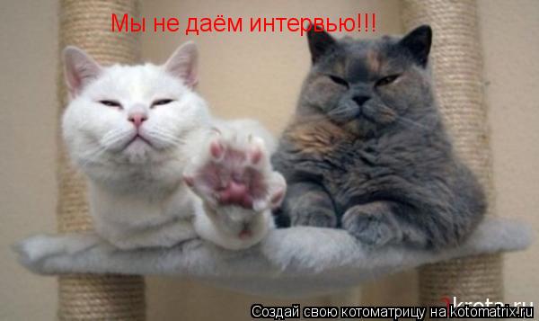 Котоматрица: Мы не даём интервью!!!