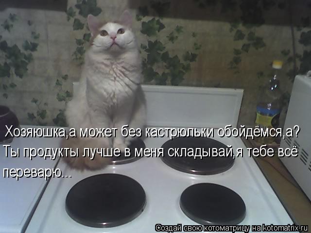 Хозяюшка,а может без кастрюльки обойдёмся,а? Ты продукты лучше в меня складывай,я тебе всё переварю.... Котоматрица: Хозяюшка,а может без кастрюльки обойдёмся,а? Ты продукты лучше в меня складывай,я тебе всё переварю...