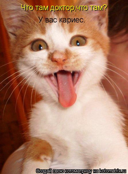 Котоматрица: Что там доктор,что там? У вас кариес.
