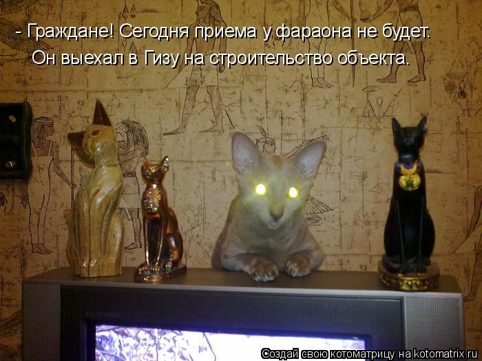 Котоматрица: - Граждане! Сегодня приема у фараона не будет. Он выехал в Гизу на строительство объекта.
