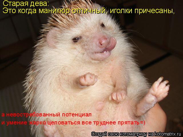 Котоматрица: Старая дева: Это когда маникюр отличный, иголки причесаны,  а невостребованный потенциал  и умение жарко целоваться все труднее прятать=)