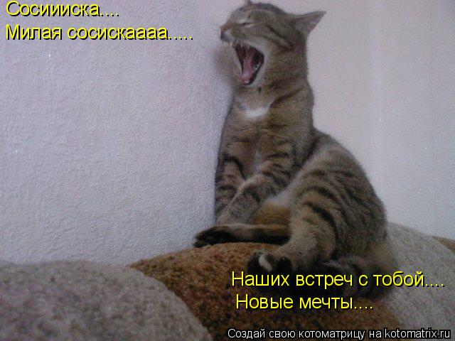 Котоматрица: Сосиииска.... Милая сосискаааа..... Наших встреч с тобой.... Новые мечты....