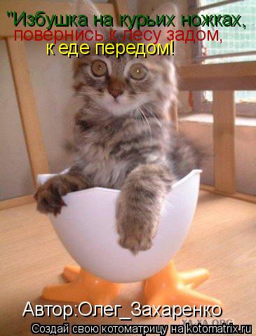 Котоматрица: "Избушка на курьих ножках, повернись к лесу задом, к еде передом! Автор:Олег_Захаренко