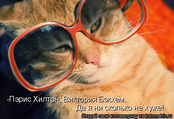 Котоматрица: -Пэрис Хилтон, Виктория Бэкхем... Да я ни сколько не хуже!