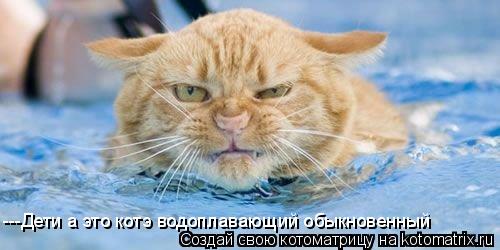 Котоматрица: ---Дети а это котэ водоплавающий обыкновенный