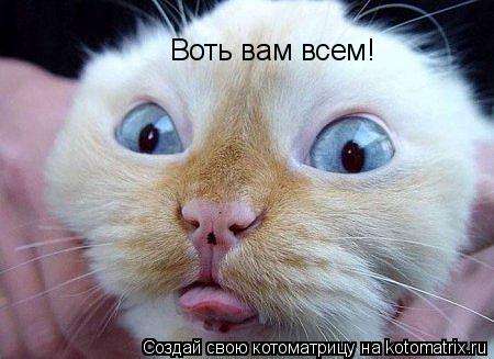 Котоматрица: Воть вам всем!