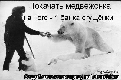Котоматрица: Покачать медвежонка на ноге - 1 банка сгущёнки